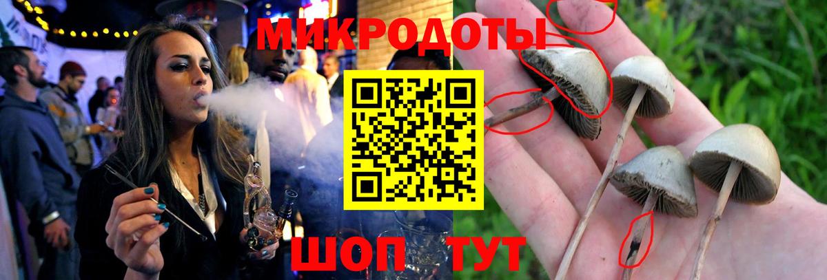 Галлюциногенные грибы Psilocybine cubensis  продажа наркотиков  Благодарный  Вход с VPN 